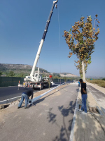 长清丹桂路路灯安装案例-1