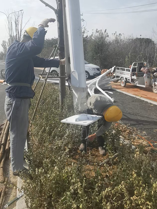 长清丹桂路路灯安装案例-3