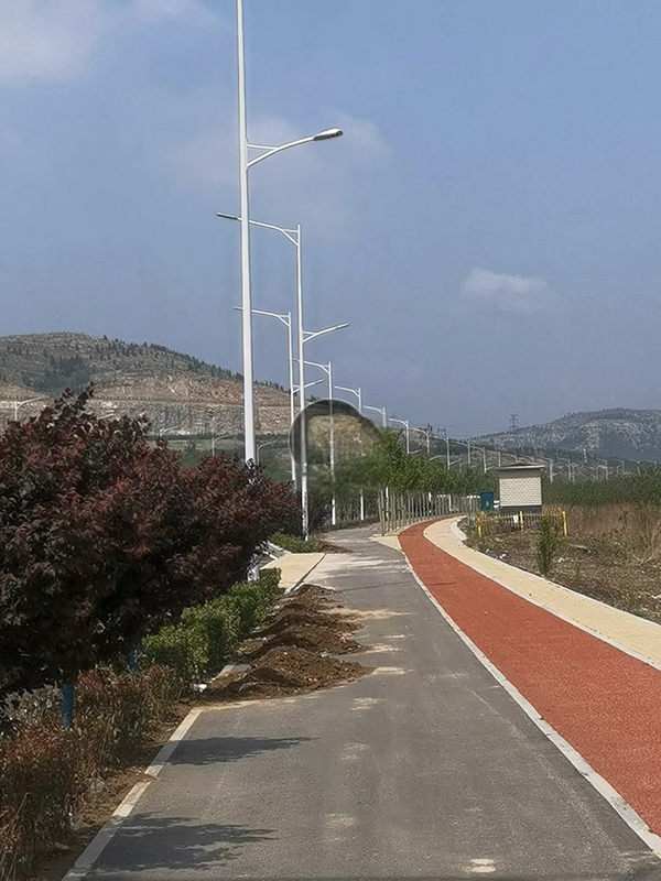 长清丹桂路路灯安装案例-2