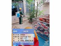 四害消杀-21-
