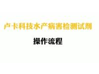 水产病害检测试剂操作流程