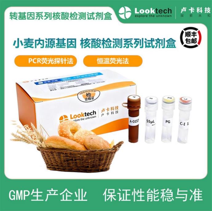 小麦内源基因核酸检测试剂盒