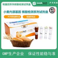 小麦内源基因核酸检测试剂盒