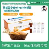 转基因小麦ubiquitin基因核酸检测试剂盒