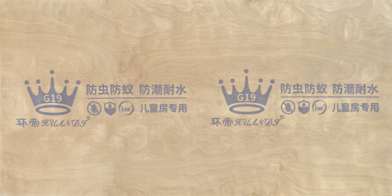 环帝G19板面图片--新版