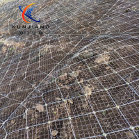 主动边坡防护网-9