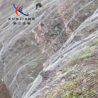 勾花网、边坡绿化网-4