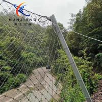 被动边坡防护网-9