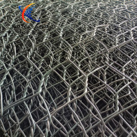 铅丝石笼网-9