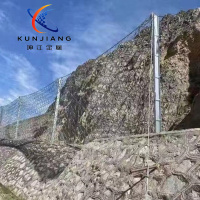 被动边坡防护网