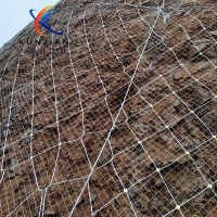 主动边坡防护网