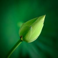 12a53e0a1c6746338ffef2f72d584aef