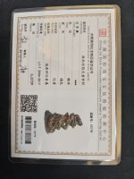 90fd184fc40a845975c12617405a5cc5