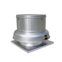 image-20250305154114-1