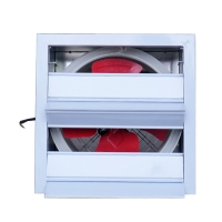 image-20250305154401-1