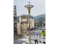 陕西省安康市旬阳县8米荷花玉兰灯销售安装工程