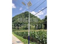 陕西省汉中市宁强县疾控中心扶贫6米太阳能路灯项目