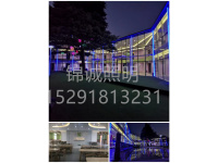 西安大华智优学校