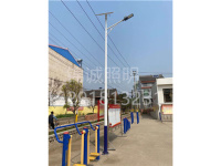 西安市周至县四屯镇辛庄村6米太阳能路灯招标亮化工程