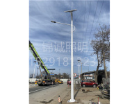 咸阳机场10米智能太阳能路灯亮化安装工程