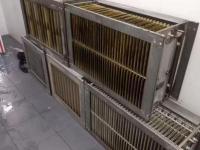 2油烟净化器清洗前