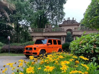 image-20241126091240-2