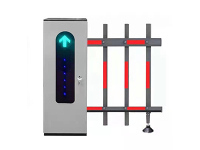 image-20241211084419-1