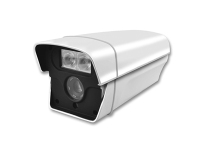 image-20241211085011-1