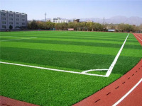 人造草坪-6