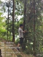 45、古宋河干流堤岸生态修复整治工程