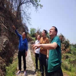 2、江安县阳春镇石头村1组寨子处火情林木损失情况调查评估报告