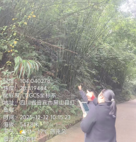 39、屏山县2026年森林质量提升项目实施方案