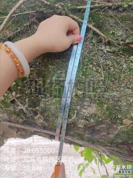 IMG_20250901_175033223