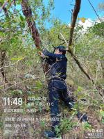 10、宜宾市翠屏区2025年第11批次建设用地