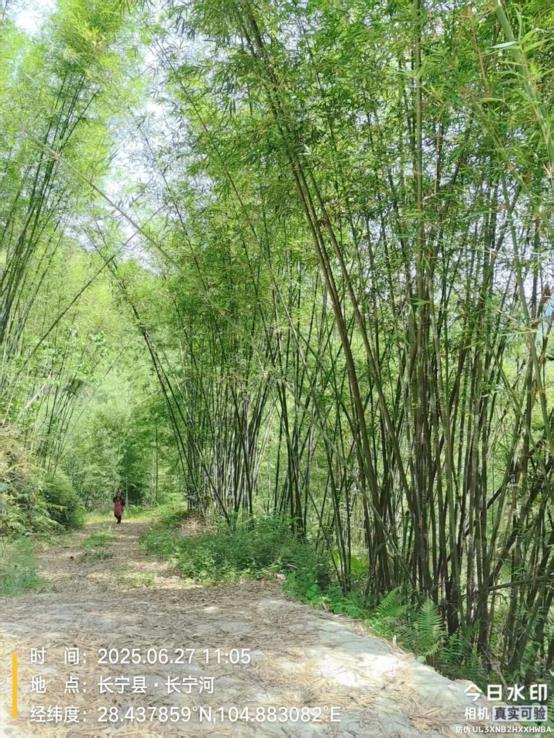 199b7572bad19682bbaa372313f92945