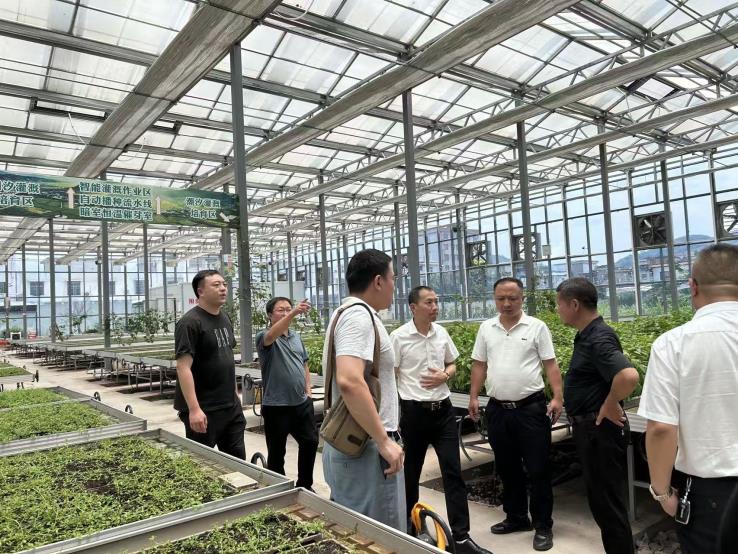 87bd48b45fd55fb0a7a1a9b080008692