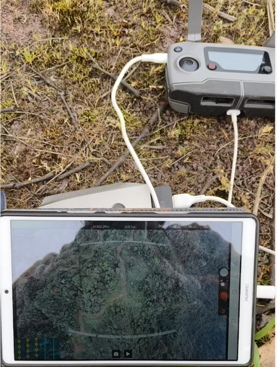 35、屏山县2021年申报竹林规模经营第二次验收