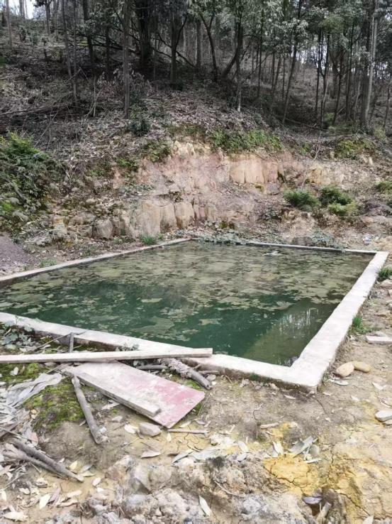 48245ed007c11065c42093063e682855