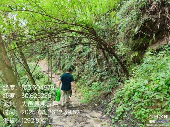 37、四川龙山生态中药源有限责任公司森林资源调查报告