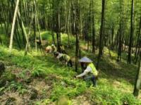 5、长宁县美川林业专业合作社2021年度竹林规模经营项目-第二次县级自查验收报告