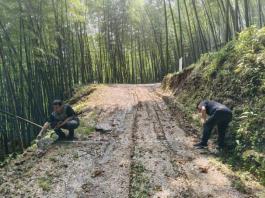 ac8ce9f63f21f3fc59ea1dcc010b4741