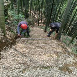 a54b1a3918c4ace7edaa2a367cb30521