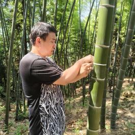 54f069a5cc17b50f33a97a8e8626b774