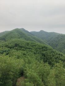 9314bfbb3997f8509186e3f7b269eb56