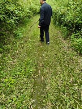 87ec1f6c34a33bd31164db0df00d7c73