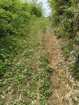 4700b5051f55957328e6fdc9ecef4689