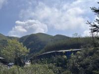 23、宜宾市竹产业一二三产融合发展项目