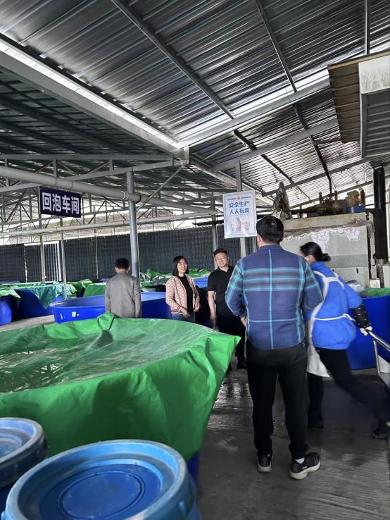 61be653c67180c5de6fec6200db6c780