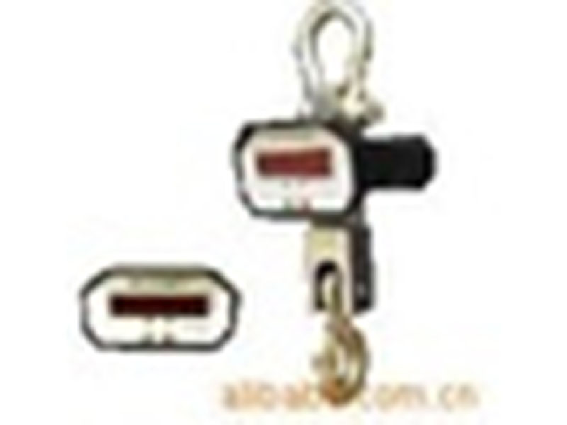 17-直视式电子吊秤