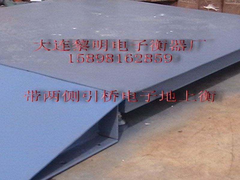 9-带两侧引道式地上衡